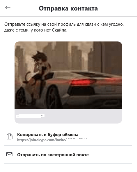 kak_nt_ch_skype_003-min