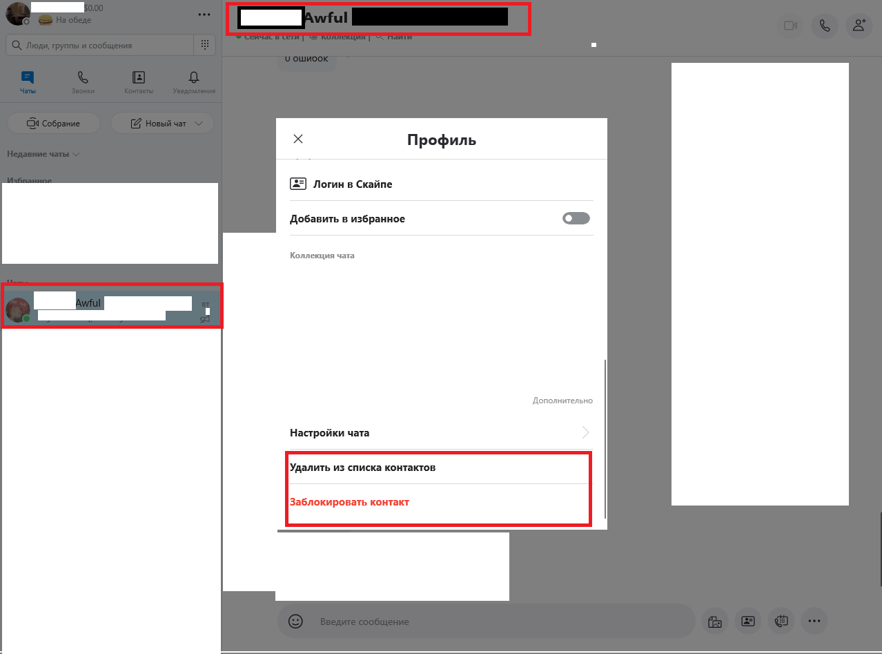 kak_nt_ch_skype_004-min